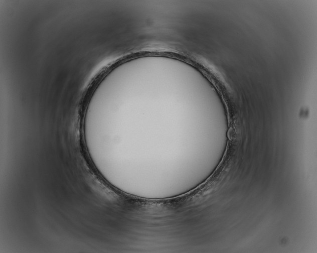 X0000101411408200807281015