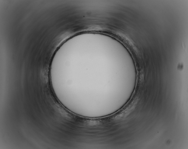 X0000101411409200807281015