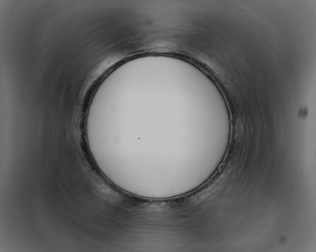 X0000101411410200807281015