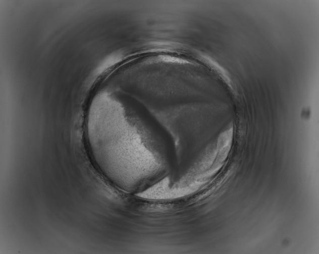 X0000101411411200807281015