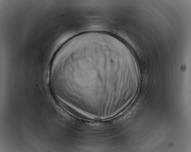 X0000101411413200807281015