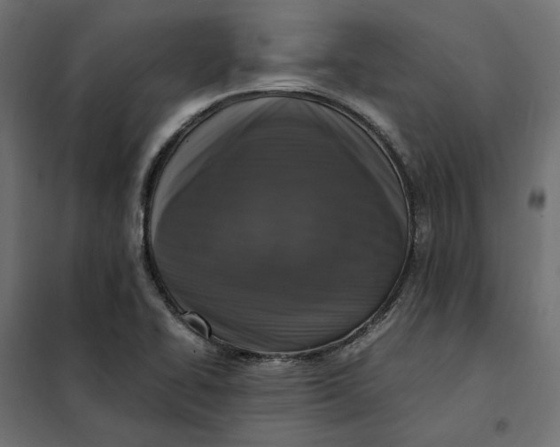 X0000101411414200807281015