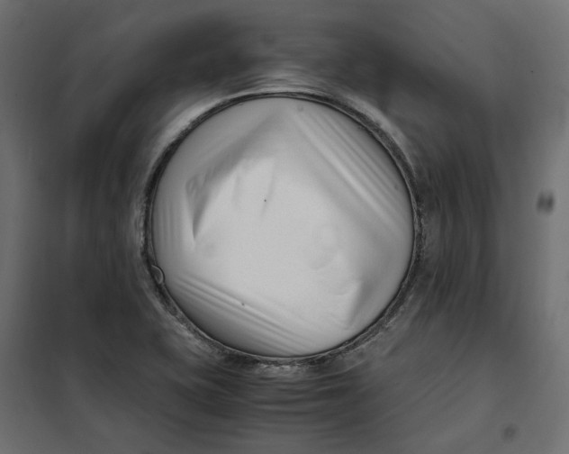 X0000101411415200807281015