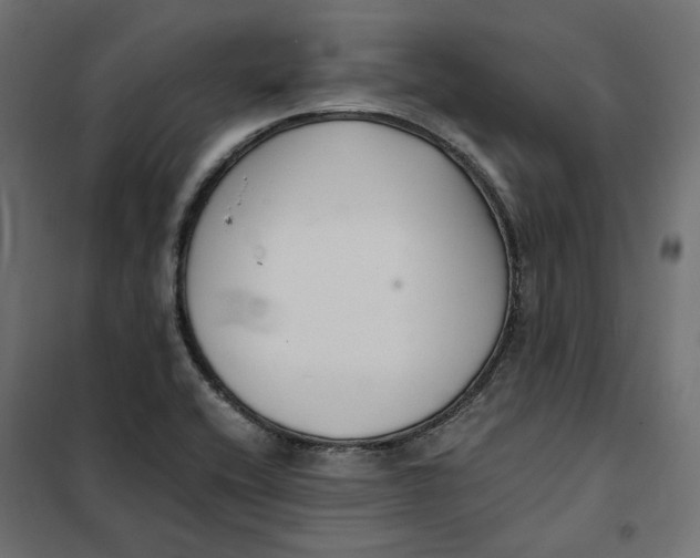 X0000101411416200807281015