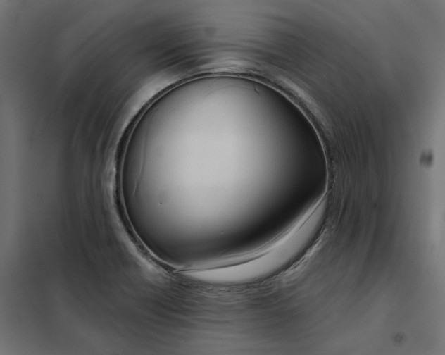 X0000101411418200807281015