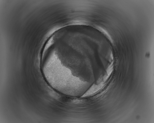 X0000101411419200807281015