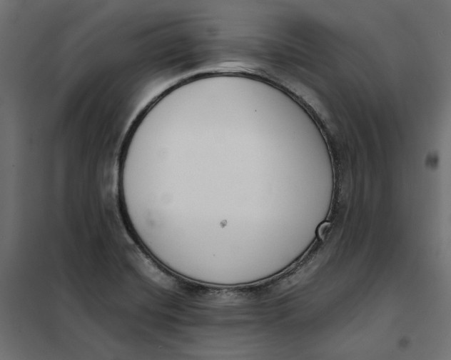 X0000101411420200807281015