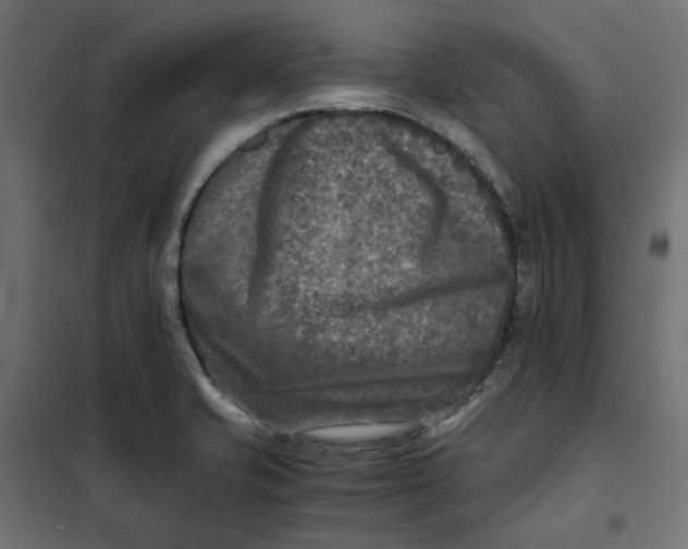 X0000101411421200807281015