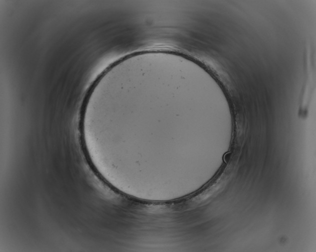 X0000101411422200807281015