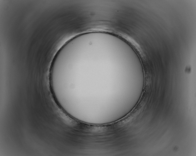 X0000101411423200807281015