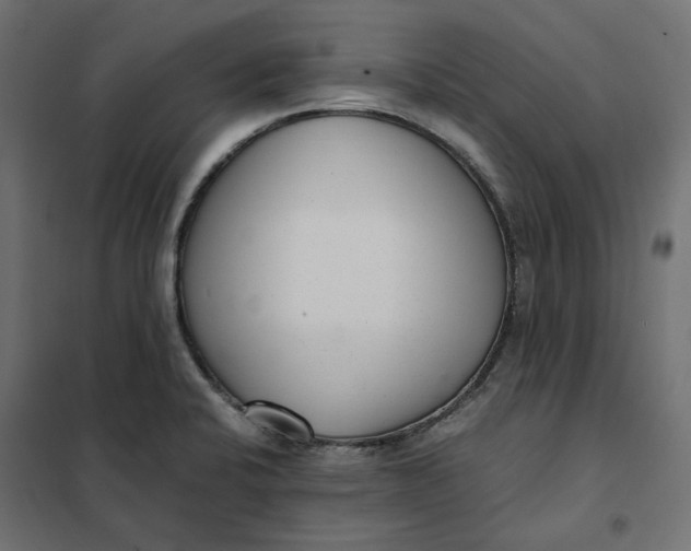 X0000101411424200807281015