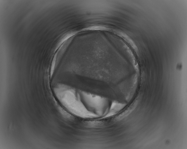 X0000101411425200807281015