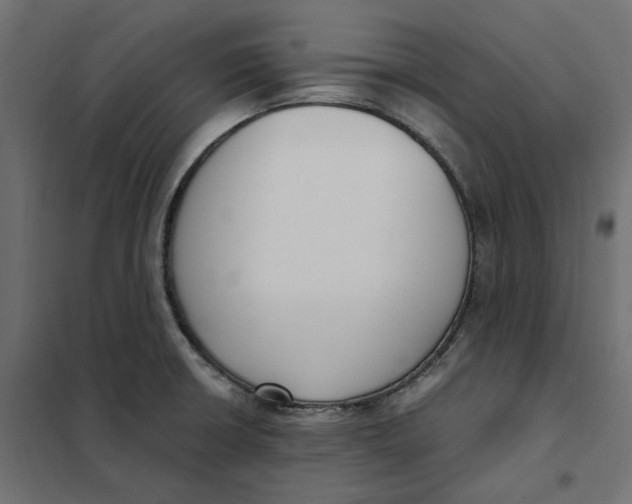 X0000101411426200807281015