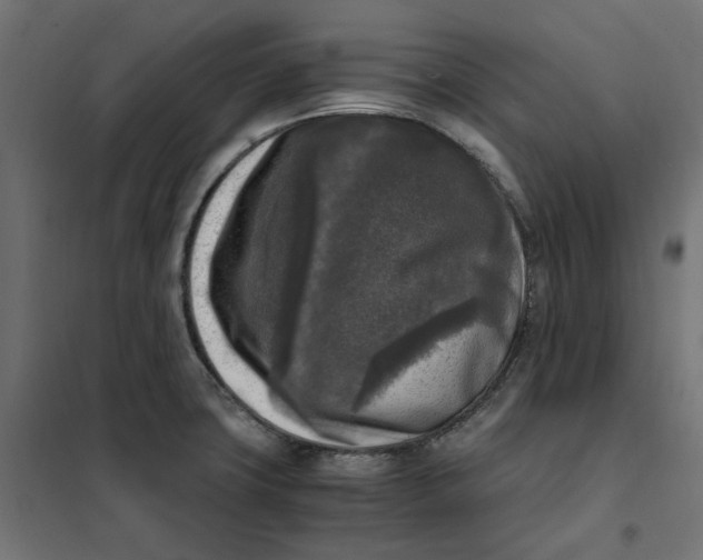 X0000101411427200807281015