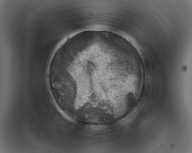 X0000101411429200807281015