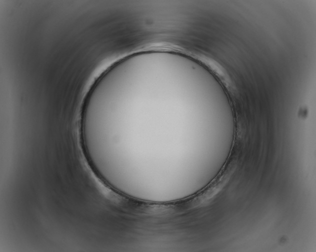 X0000101411430200807281015