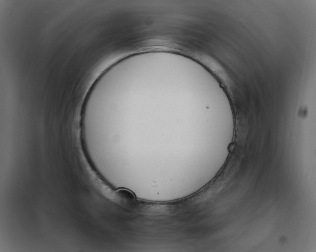 X0000101411431200807281015