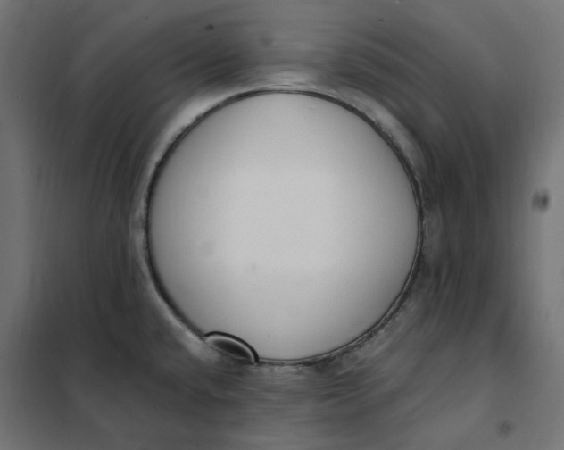 X0000101411432200807281015