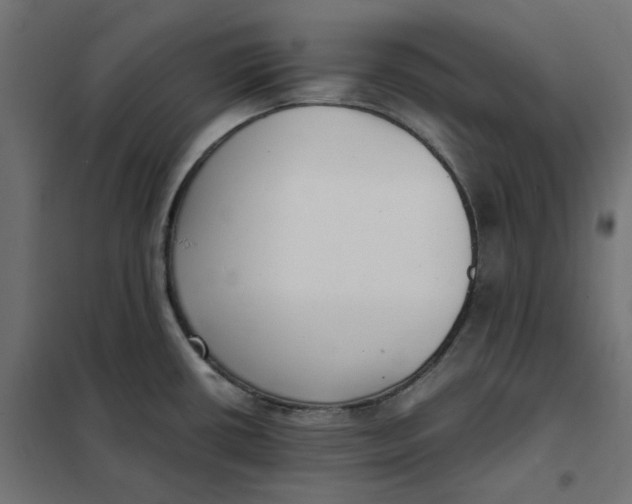 X0000101411434200807281015