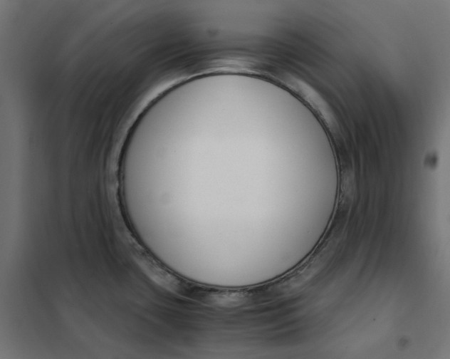 X0000101411435200807281015