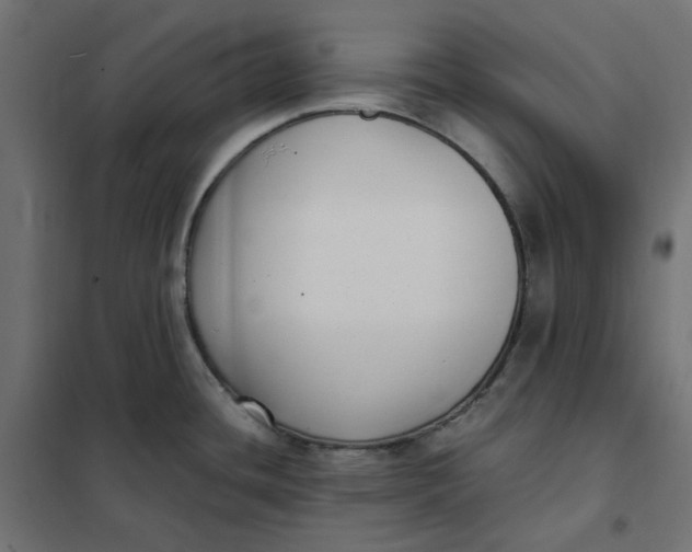 X0000101411436200807281015