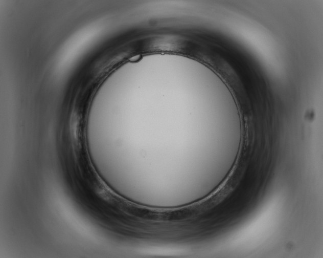 X0000101411438200807281015