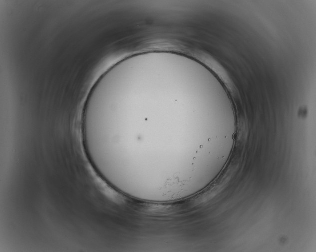 X0000101411439200807281015