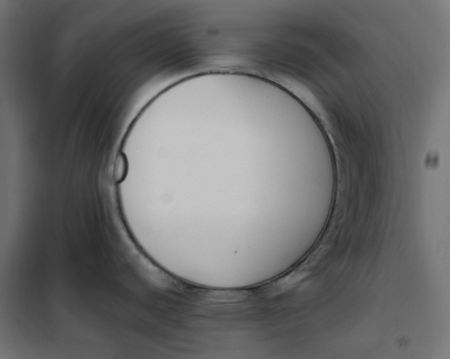 X0000101411440200807281015