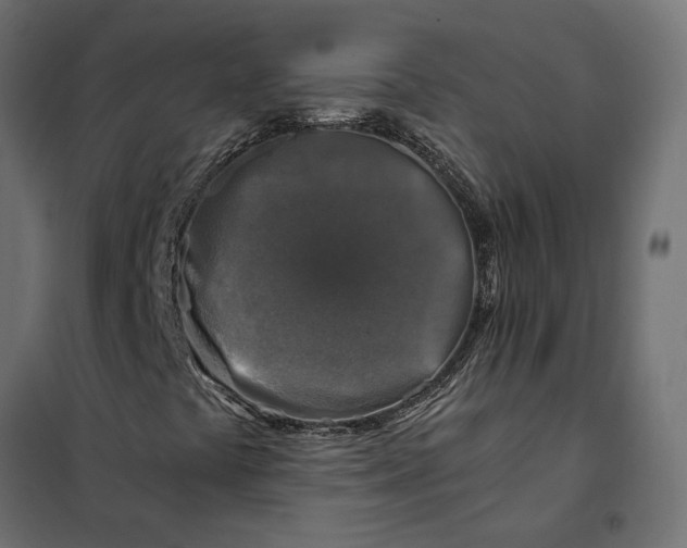 X0000101411441200807281014