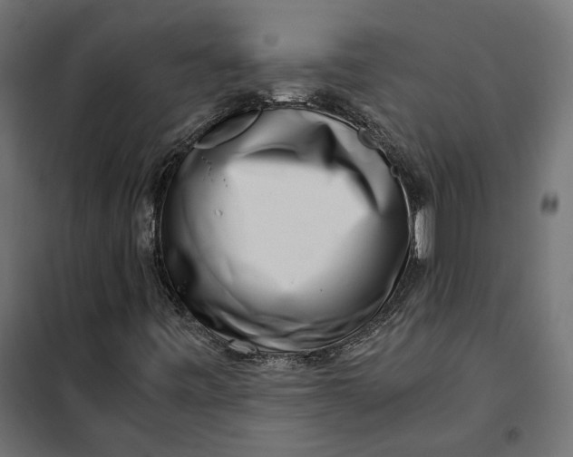 X0000101411443200807281014