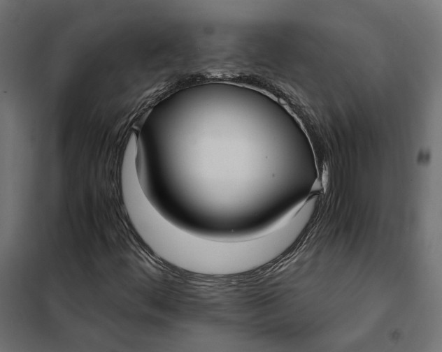 X0000101411444200807281014