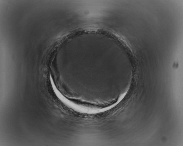 X0000101411445200807281014