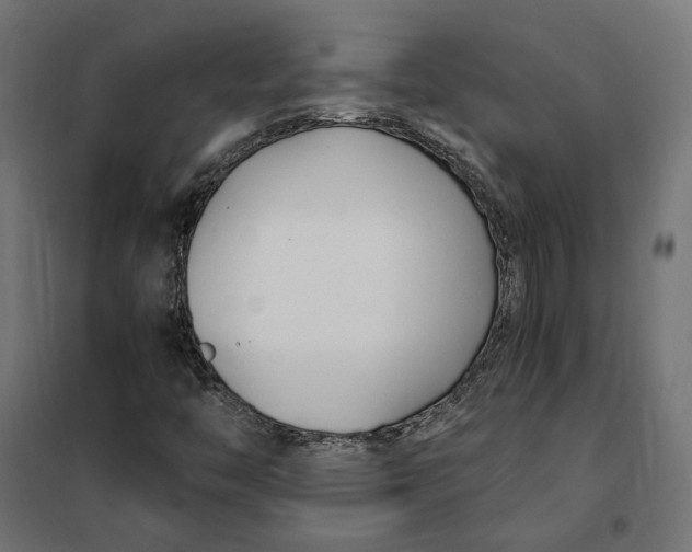 X0000101411446200807281014