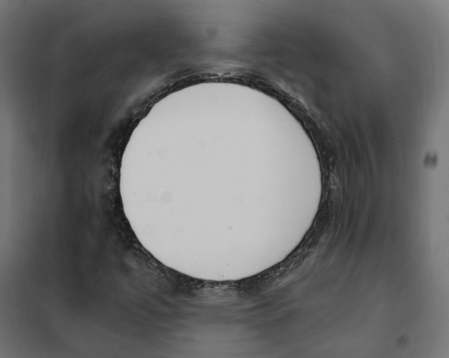 X0000101411447200807281014