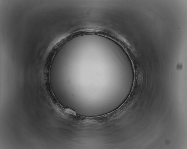 X0000101411448200807281014