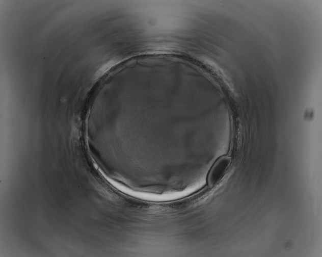 X0000101411449200807281014