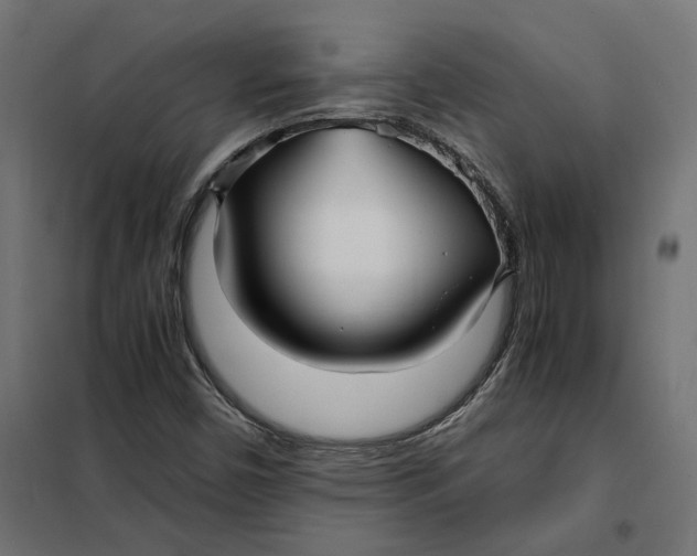 X0000101411450200807281014