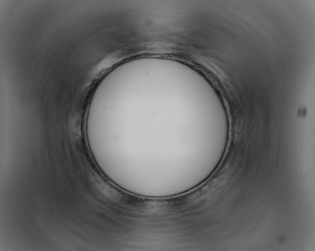 X0000101411451200807281014