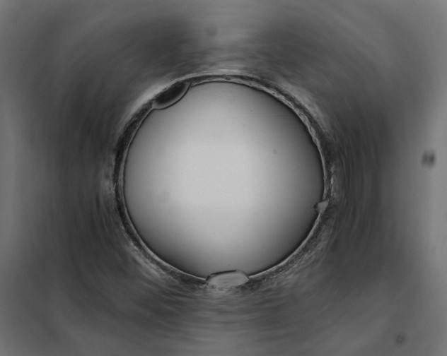 X0000101411452200807281014