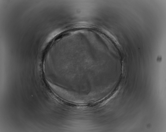 X0000101411453200807281014