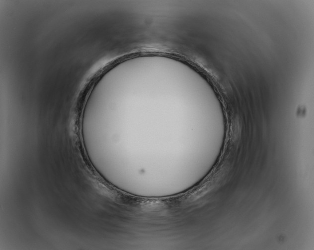 X0000101411454200807281014