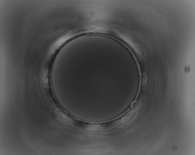 X0000101411455200807281014