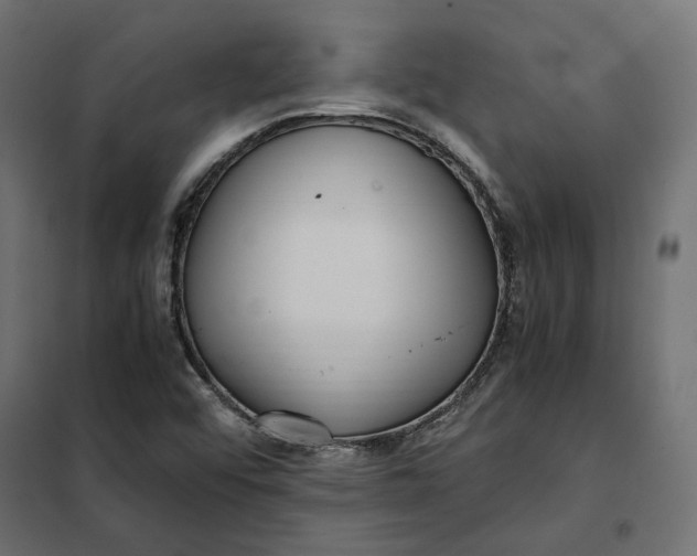 X0000101411456200807281014