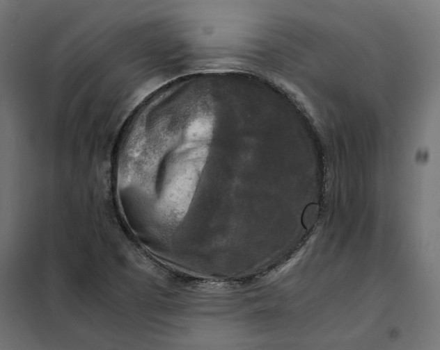 X0000101411457200807281014