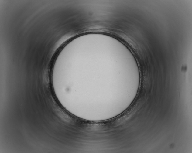 X0000101411458200807281014