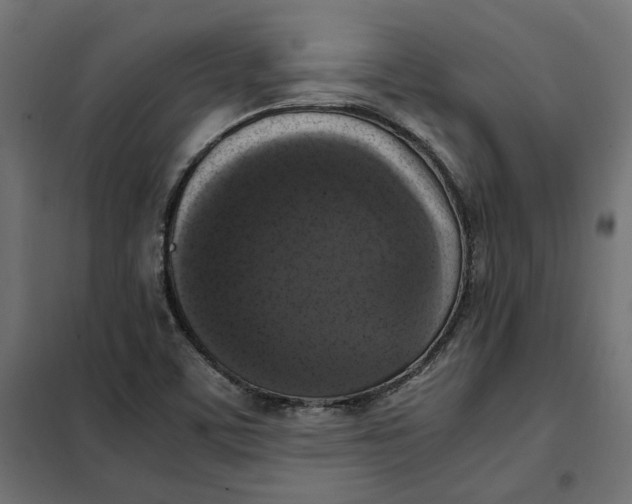 X0000101411459200807281014