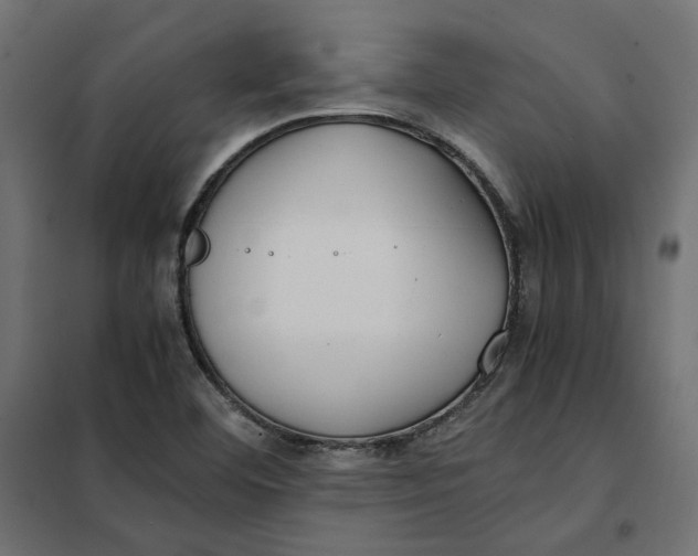 X0000101411460200807281014