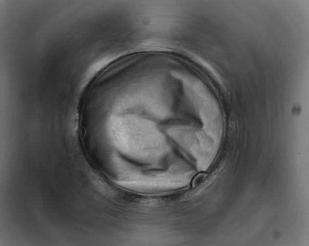 X0000101411461200807281014