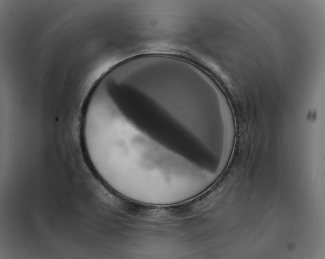 X0000101411463200807281014