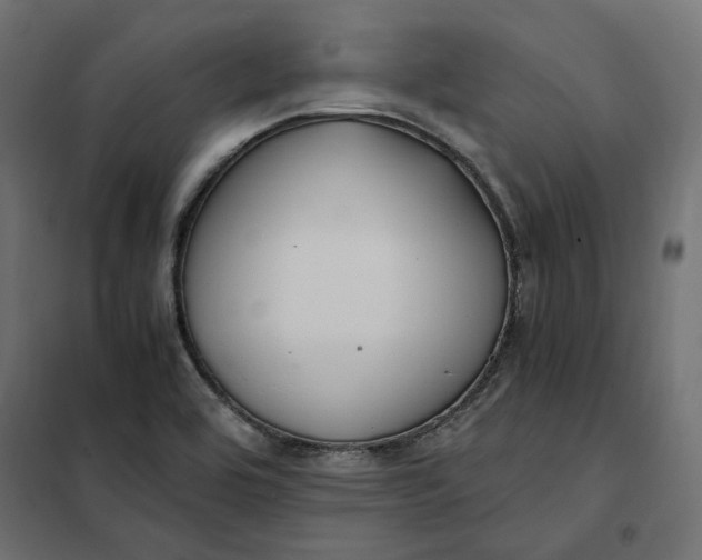 X0000101411464200807281014